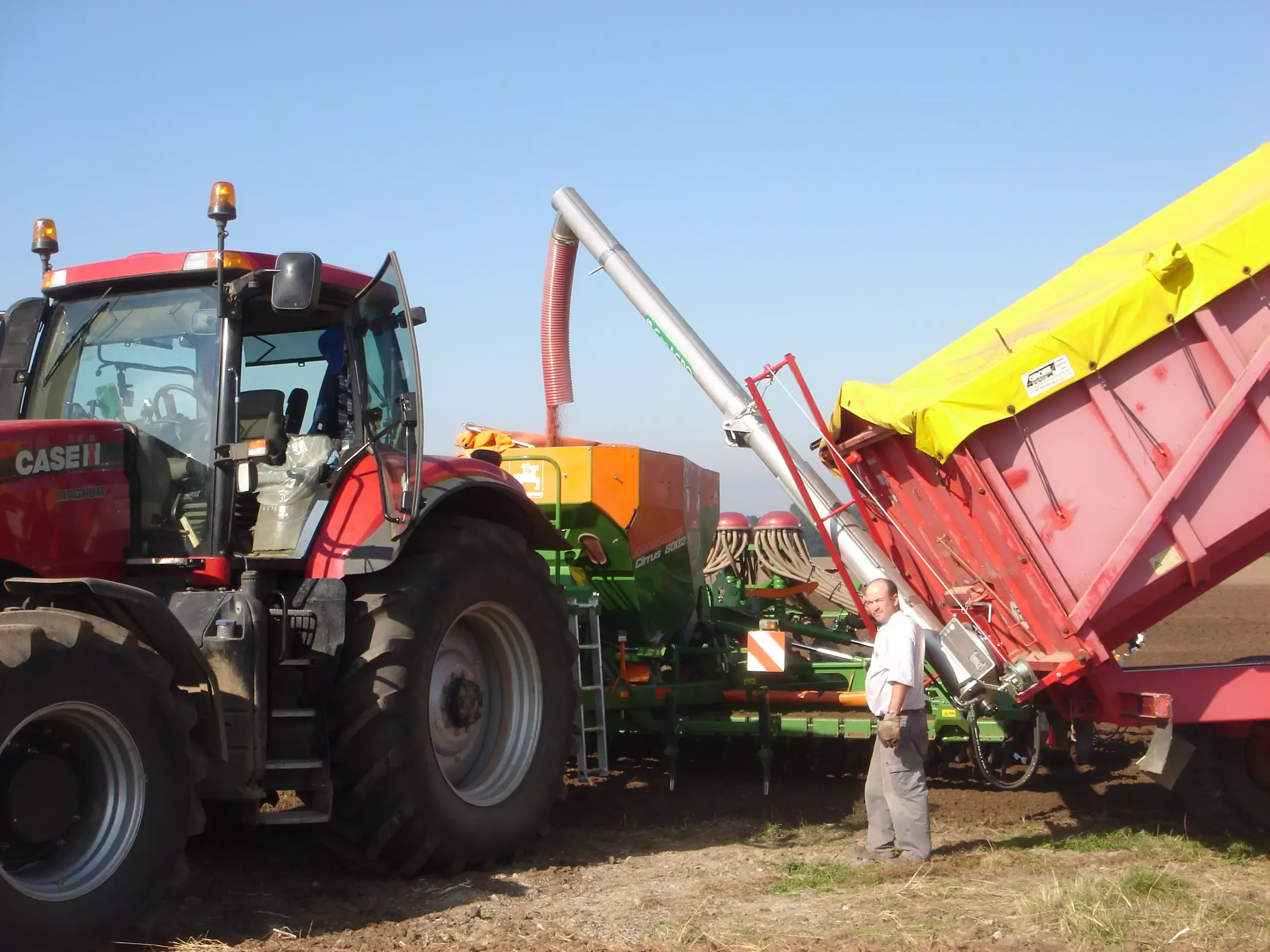 Bildbeschreibungstext